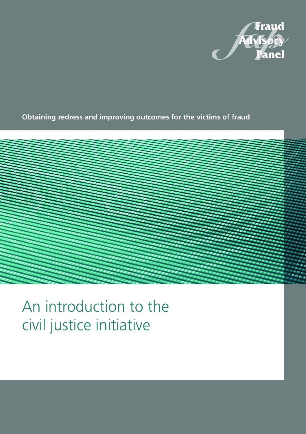 An introduction to criminal justice initiative 2012 document cover